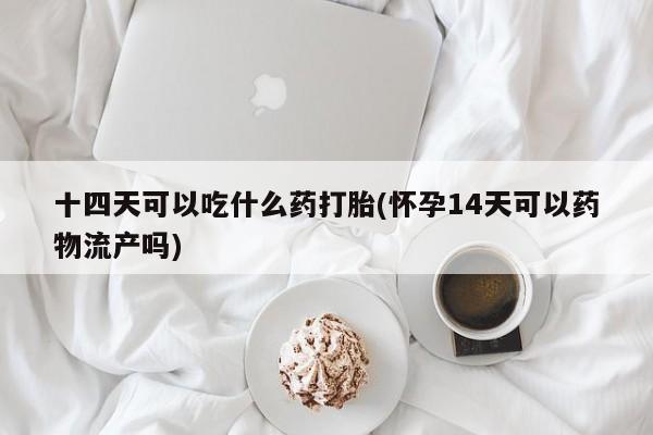 米非司酮片在线购买微信十四天可以吃什么药打胎(怀孕14天可以药物流产吗)